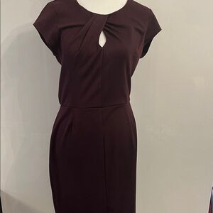 Banana Republic Elegant Burgundy Dress